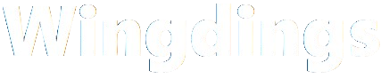 Wingdings Translator
